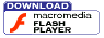 Macromedia Flash Player